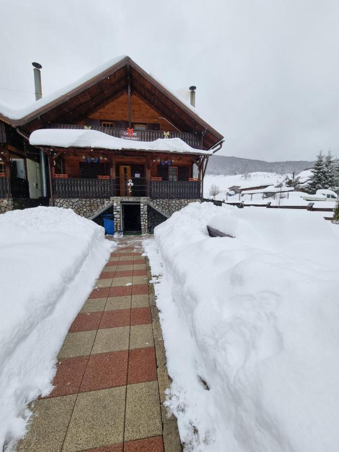 Villa Freemont Braşov Esterno foto